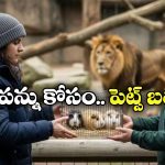 Tax Relief: మీ పెంపుడు జంతువులను సింహాలకు ఆహారంగా ఇస్తే.. ట్యాక్స్ నుంచి ఉపశమనం!