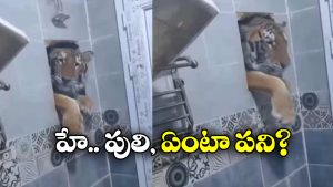 Viral Video: బాత్రూమ్‌ లోకి తొంగి చూసిన పులి.. ఆ తర్వాత..