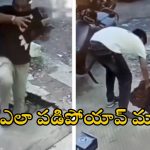 Viral video: రోడ్డుపై నడుచుకుంటూ ఒక్కసారిగా.. స్లాబ్ విరిగిపోయి డ్రైనేజీలో పడిపోయిన యువకుడు, వీడియో వైరల్