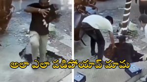 Viral video: రోడ్డుపై నడుచుకుంటూ ఒక్కసారిగా.. స్లాబ్ విరిగిపోయి డ్రైనేజీలో పడిపోయిన యువకుడు, వీడియో వైరల్