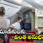 Flight Passengers: మూత్రం ఆపుకోలేక.. బాటిళ్లలో టాయిలెట్ పోసిన విమాన ప్రయాణీకులు.. మరి ఇంత ఘోరమా!