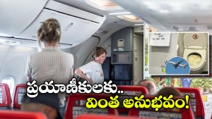 Flight Passengers: మూత్రం ఆపుకోలేక.. బాటిళ్లలో టాయిలెట్ పోసిన విమాన ప్రయాణీకులు.. మరి ఇంత ఘోరమా!