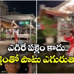 Viral Video: ఈ రెస్టారెంట్‌ లో గాల్లో ఎగురుతూ వడ్డిస్తారు.. భలే ఉందే!