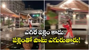 Viral Video: ఈ రెస్టారెంట్‌ లో గాల్లో ఎగురుతూ వడ్డిస్తారు.. భలే ఉందే!