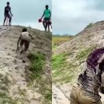 Watch Video : ఇదెక్కడి క్రికెట్ రా.. ఇలా ఆడితే అస్సలు రన్ అవుట్ కాబోరు