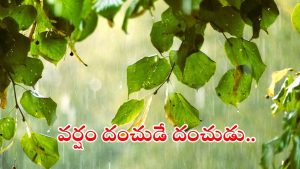 Weather News: దూసుకొస్తున్న వాయుగుండం.. ఈ జిల్లాల్లో భారీ వర్షాలు.. జాగ్రత్త..!