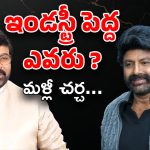 Tollywood : చిరు కాదు.. బాలయ్యే కరెక్ట్? ఇండస్ట్రీకి పెద్ద దొరికేసినట్లేనా?