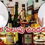 AP Liquor Case: లిక్కర్ కేసులో నెక్ట్స్ ఎవరు? నారాయణస్వామి నిజాలు, ఈసారి నేరుగా అరెస్టులే?
