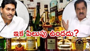AP Liquor Case: లిక్కర్ కేసులో నెక్ట్స్ ఎవరు? నారాయణస్వామి నిజాలు, ఈసారి నేరుగా అరెస్టులే?