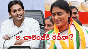 Sharmila Vs Jagan: జగన్ హాట్‌లైన్ కామెంట్స్‌పై షర్మిల కౌంటర్.. మీదొక పార్టీ, దానికొక ఏజెండా?