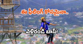 Pineapple Benefits: ఖాళీ కడుపుతో పైనాపిల్ తింటే.. ఇన్ని లాభాలా ?