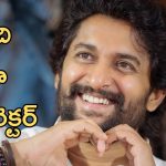 actor Nani: ఒక సినిమా పోవాలి అని కోరుకునే క్యారెక్టర్ కాదు నాది
