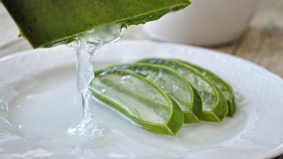 Aloevera: తాజా కలబంద ఆకును తలకు రుద్దితే జుట్టు పెరుగుతుందా?