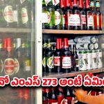 AP Liquor Shops: మందుబాబులకు గుడ్ న్యూస్! కొత్త జీవో పూర్తి వివరాలు..