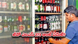 AP Liquor Shops: మందుబాబులకు గుడ్ న్యూస్! కొత్త జీవో పూర్తి వివరాలు..