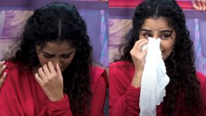 Anupama Parameswaran: ప్లీజ్‌ నా సినిమా చూడండి.. ప్రెస్‌మీట్‌లో ఏడ్చేసిన హీరోయిన్‌ అనుపమ