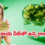 Okra Water Benefits: జిడ్డుగా ఉందని వదిలేయకండి.. నానబెట్టి తాగితే రోగాలన్నీ పరార్