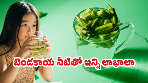 Okra Water Benefits: జిడ్డుగా ఉందని వదిలేయకండి.. నానబెట్టి తాగితే రోగాలన్నీ పరార్