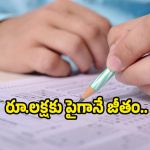 DSSSB Jobs: సబార్డినేట్ సర్వీసెస్‌లో 615 ఉద్యోగాలు.. టెన్త్ పాసైతే అప్లై చేసుకోవచ్చు