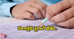 DSSSB Jobs: సబార్డినేట్ సర్వీసెస్‌లో 615 ఉద్యోగాలు.. టెన్త్ పాసైతే అప్లై చేసుకోవచ్చు