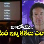 Neil Breen: లైట్ బాయ్ నుంచి.. డైరెక్టర్.. యాక్టర్.. అన్నీ అతడే..