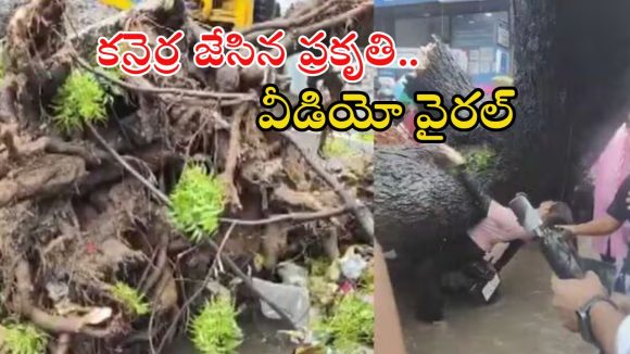 Viral video: ఢిల్లీలో వర్ష బీభత్సం.. బైక్‌పై కూలిన భారీ చెట్టు.. స్పాట్‌‌లోనే..?