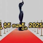 Filmfare Awards 2025: ఫిల్మ్ ఫేర్ గ్లామర్ & స్టైల్ సౌత్ విన్నర్స్ ఫుల్ లిస్ట్ ఇదే..!