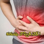 Stomach Pain: ఇలా చేస్తే.. క్షణాల్లోనే కడుపు నొప్పి మాయం