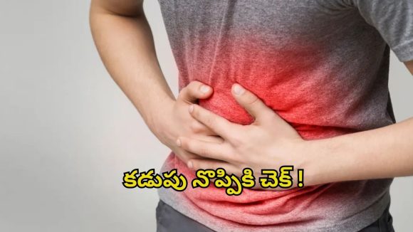 Stomach Pain: ఇలా చేస్తే.. క్షణాల్లోనే కడుపు నొప్పి మాయం