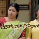 Gundeninda GudiGantalu Today episode: మీనా కొత్త వ్యాపారం.. ప్రభావతిని ఆడుకున్న కామాక్షి.. అడ్డంగా దొరికిపోయిన రోహిణి..