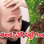 Bald Head Regrowth: బట్టతల సమస్యకు చెక్.. ఇలా చేస్తే జుట్టు పెరగడం ఖాయం