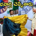 Handloom Sector: చేనేత రంగానికి ఏపీ బూస్ట్.. జీఎస్టీ భారం ప్రభుత్వానిదే