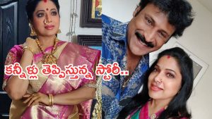 Actress Haritha : బాడీ షేమింగ్ వల్ల బాధపడ్డా.. నరకం చూశాను.. కన్నీళ్లు తెప్పిస్తున్న హరిత స్టోరీ..