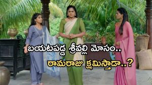 Illu Illalu Pillalu Today Episode: నర్మదకు అడ్డంగా దొరికిపోయిన భాగ్యం.. శ్రీవల్లి పని అయిపోయినట్లే.. రామరాజు షాకింగ్ డెసిషన్..?