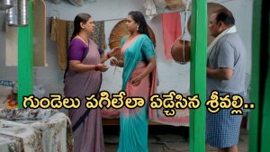 Illu Illalu Pillalu Today Episode: రామరాజు రైస్ మిల్లులో దొంగతనం.. నర్మద తెలివికి ఫిదా.. తప్పు ఒప్పుకున్న భాగ్యం..