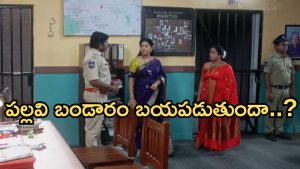 Intinti Ramayanam Today Episode: అక్షయ్ కు క్లాస్ పీకిన అవని.. ప్రణతికి పెళ్లి చెయ్యబోతున్న పార్వతి.. దిమ్మతిరిగే ట్విస్ట్..