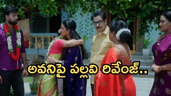 Intinti Ramayanam Today Episode: పార్వతి పై అక్షయ్ సీరియస్.. పల్లవికి మరో షాక్.. భరత్, ప్రణతి ల కొత్త కాపురం..