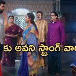 Intinti Ramayanam Today Episode: ప్రణతికి సపోర్ట్ గా పార్వతి.. చెల్లెలికి హారతి ఇచ్చిన అన్నలు.. అవని పై అక్షయ సీరియస్..