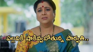 Intinti Ramayanam Today Episode: అవనిని పార్వతి క్షమిస్తుందా..? పల్లవి మాస్టర్ ప్లాన్.. అక్షయ్ కు నిజం తెలుస్తుందా..?