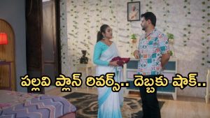 Intinti Ramayanam Today Episode: కమల్ షాక్ కు పల్లవి మైండ్ బ్లాక్.. అవని, పార్వతిల మధ్య పల్లవి చిచ్చు.. అక్షయ్ మారతాడా..?