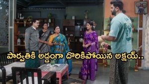 Intinti Ramayanam Today Episode: అవని పై పల్లవి కుట్ర.. మారిపోయిన పార్వతి.. ప్రణతి, భరత్ లతో వ్రతం..?