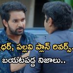 Intinti Ramayanam Today Episode: అక్షయ్ కు క్లాస్ పీకిన అవని.. అడ్డంగా బుక్కయిన చక్రధర్.. వ్రతం ఆపేందుకు ప్లాన్..