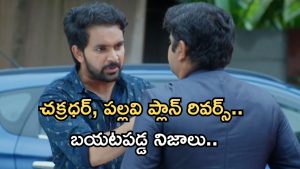 Intinti Ramayanam Today Episode: అక్షయ్ కు క్లాస్ పీకిన అవని.. అడ్డంగా బుక్కయిన చక్రధర్.. వ్రతం ఆపేందుకు ప్లాన్..