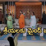 Intinti Ramayanam Today Episode: అబద్దం చెప్పిన అక్షయ్.. పల్లవి, శ్రీయలకు పార్వతి షాక్.. అక్షయ్ వ్రతానికి వస్తాడా..?