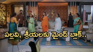 Intinti Ramayanam Today Episode: అబద్దం చెప్పిన అక్షయ్.. పల్లవి, శ్రీయలకు పార్వతి షాక్.. అక్షయ్ వ్రతానికి వస్తాడా..?