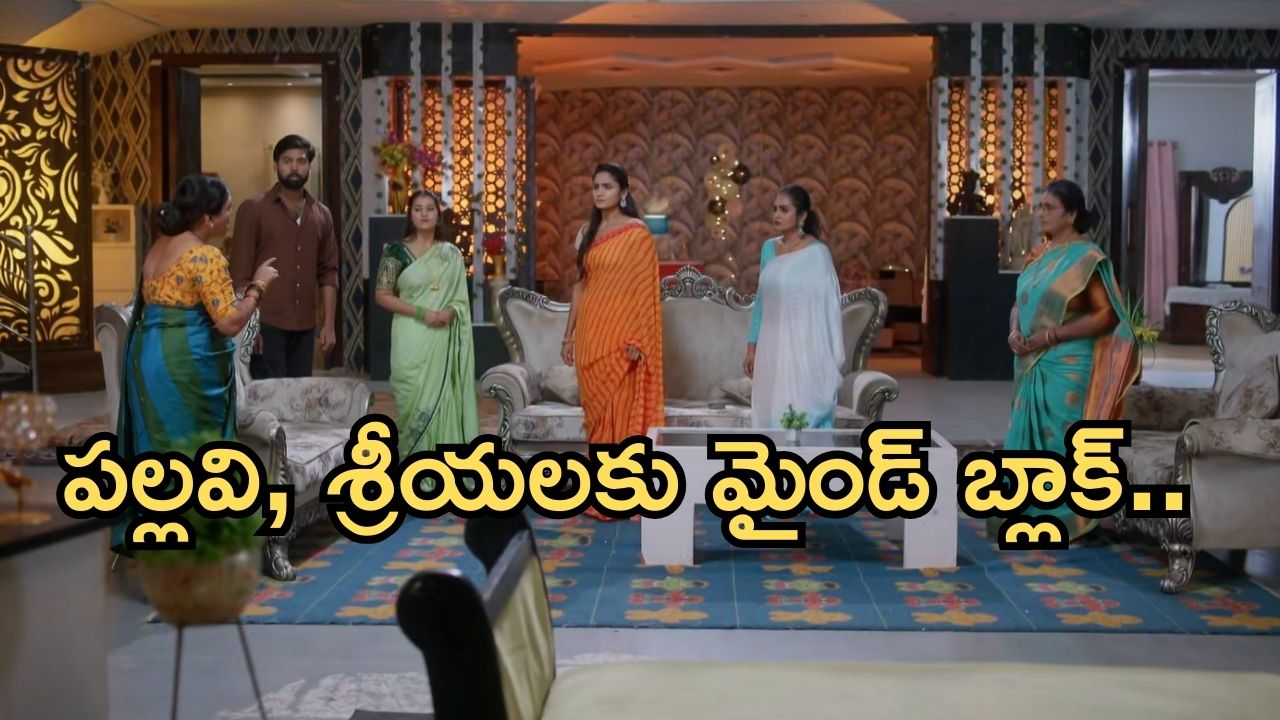 Intinti Ramayanam Today Episode: అబద్దం చెప్పిన అక్షయ్.. పల్లవి, శ్రీయలకు పార్వతి షాక్.. అక్షయ్ వ్రతానికి వస్తాడా..?