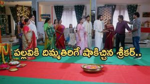 Intinti Ramayanam Today Episode: అక్షయ్ కు చుక్కలు చూపించిన అవని.. అడ్డంగా ఇరుక్కున్న పల్లవి..