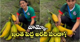 Biggest Banana: బెట్, ఈ బనానాను ఒక్కరే తినలేరు.. చరిత్రలో అత్యంత పెద్ద అరటి పండు పొడవు ఎంతో తెలుసా?