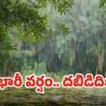 Rain Alert: అల్పపీడనం ఎఫెక్ట్.. రాష్ట్రంలో  మరో మూడు రోజులు కుండపోత వర్షాలు..