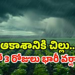 Heavy Rains: రాష్ట్రంలో కుమ్మేస్తున్న వర్షం.. ఈ జిల్లాల్లో  ఉరుములు, మెరుపులు, పిడుగులు పడే ఛాన్స్!